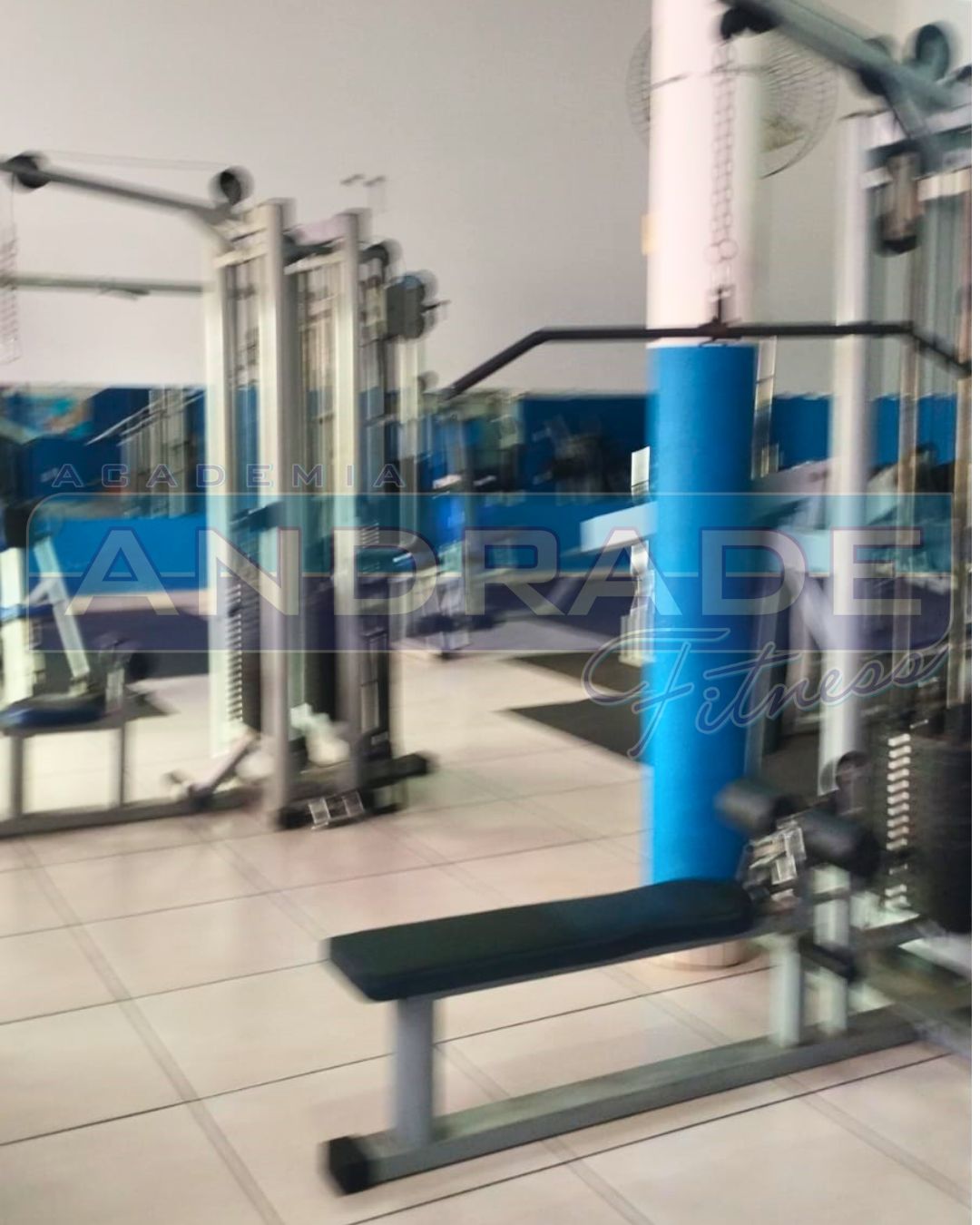 MUsculação 1.jpg